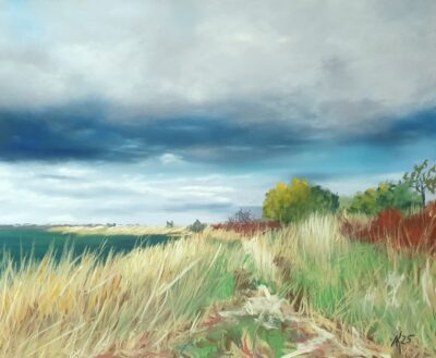 Andrea Kuchnowsky - 