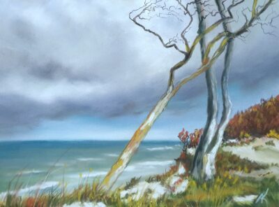 Andrea Kuchnowsky - 