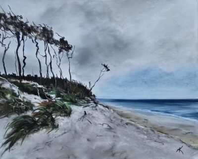 Andrea Kuchnowsky - 
