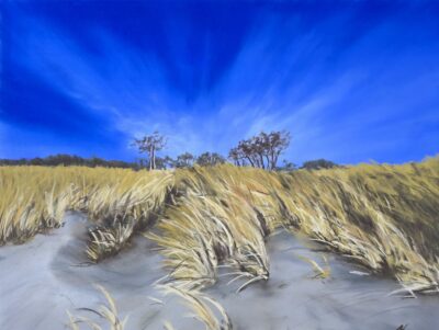 Andrea Kuchnowsky - 