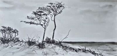 Andrea Kuchnowsky - 
